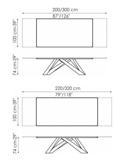 Dining Tables: BIG Extending Table